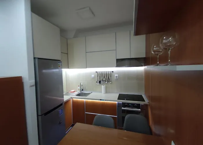 Apartament Nis Apartment Ni